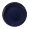 Smarty Had A Party 10.25" Navy with Gold Rim Organic Round Disposable Plastic Dinner Plates (120 Plates), 120PK 930NG-CASE - alternate 10